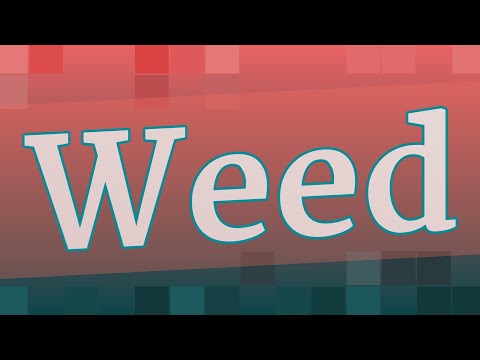 WEED pronunciation • How to pronounce WEED
