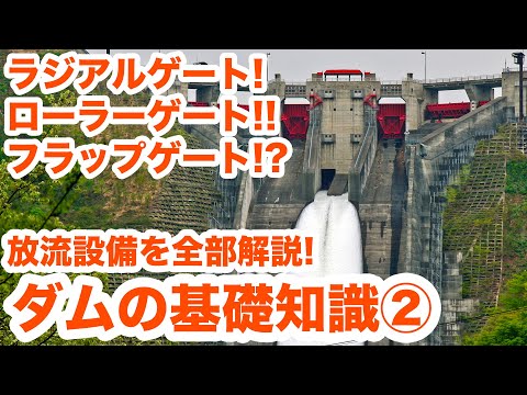 マットマークダムについて詳しく解説