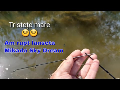 Am rupt lanseta Mikado Sky Dream.