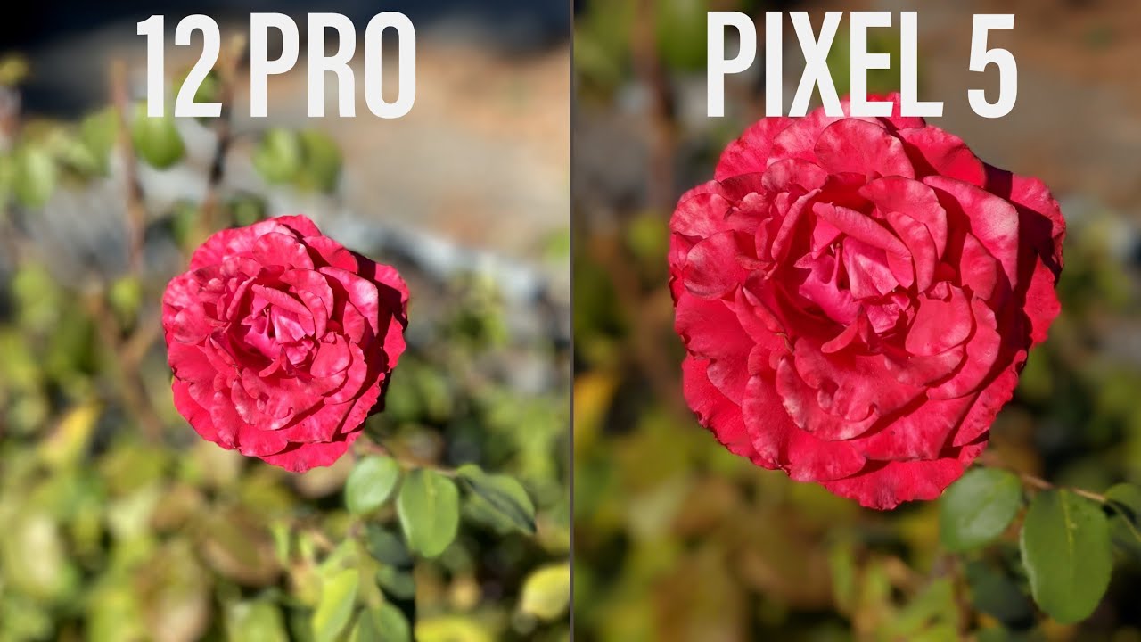 iPhone 12 Pro vs Google Pixel 5 CAMERA TEST!