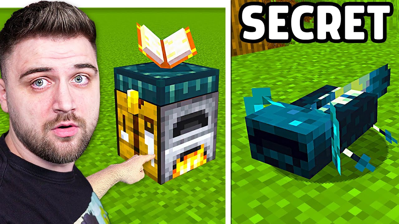 1000 SECRETE pe Minecraft !