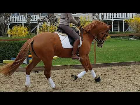 Fürstenlook x Fürst Nymphenburg