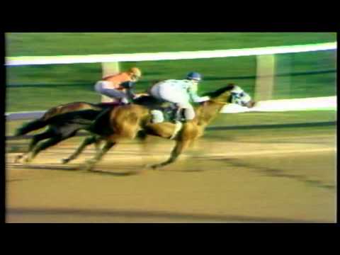 1973 JOCKEY CLUB GOLD CUP