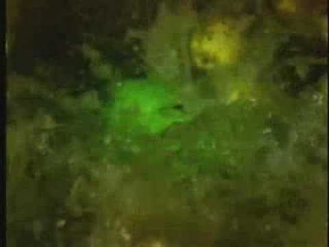 Video thumbnail for Throwing Back the Apple