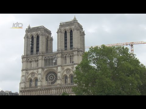 Notre-Dame de Paris : la réouverture du Pont au Double