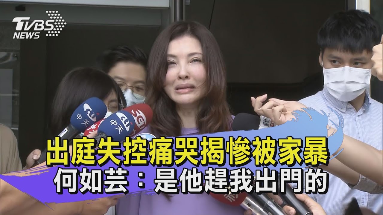 出庭失控痛哭揭慘被家暴 何如芸:是他趕我出門的