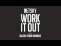 Netsky - Work It Out feat. Digital Farm Animals (Cover Art)