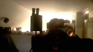 Louisiana Stripes(Hank Williams III Cover)