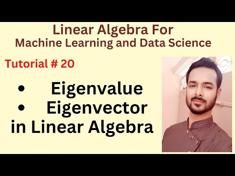 Tutorial 20 Eigenvalue and Eigenvector in Linear Algebra for Machine Learning