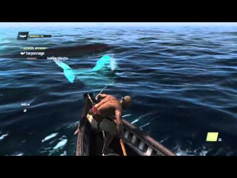 comment trouver baleine blanche assassin's creed 4