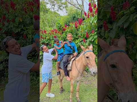 When a child sees a horse for the first time 👦🏽🌊🐎🤣 #shorts #rio #horses #comedy