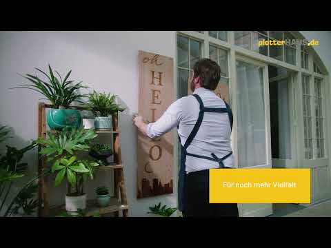 Vorstellung xTool P2 Co2 Laser