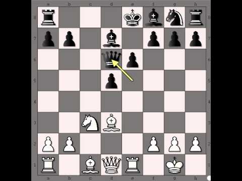 Osvajanje Dame u šahu i analiza zavrsnice - WALL vs ROBIN - Francuska odb # 372