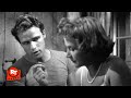 A Streetcar Named Desire (1951) - The Napoleonic Code Scene | Movieclips
