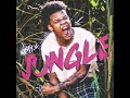 Nasty C Juice Back Remix