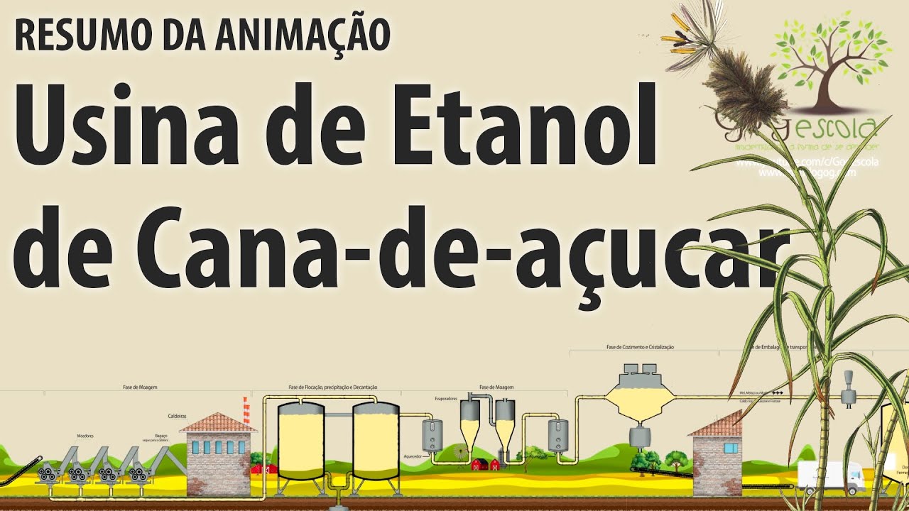 Como funciona a usina de cana de açúcar