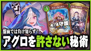 【アグロを狩れ！】秘術ウィッチで " 圧倒的盤面 " を作り出すデッキ  - シャドウバースビヨンド