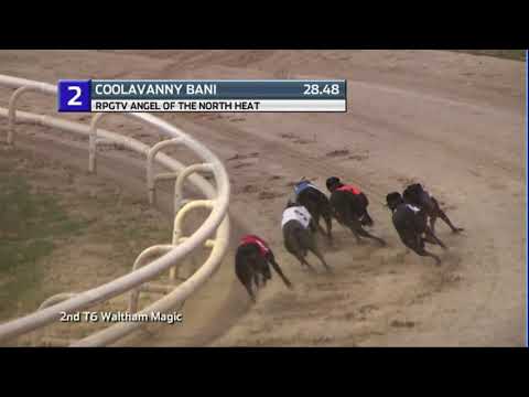 2020 ANGEL OF THE NORTH - HEAT 3 - T2 COOLAVANNY BANI