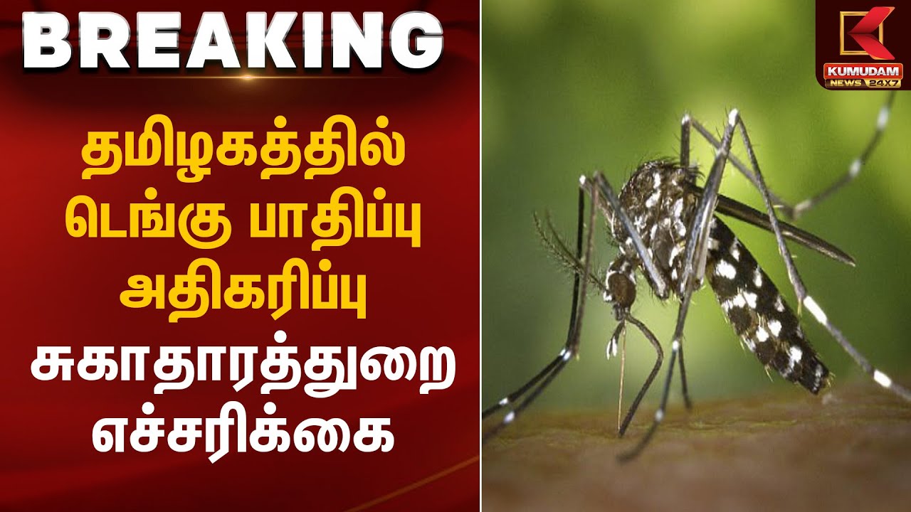 தமிழகத்தில் டெங்கு பாதிப்பு அதிகரிப்பு – சுகாதாரத்துறை எச்சரிக்கை | Dengue Prevention | Kumudam News