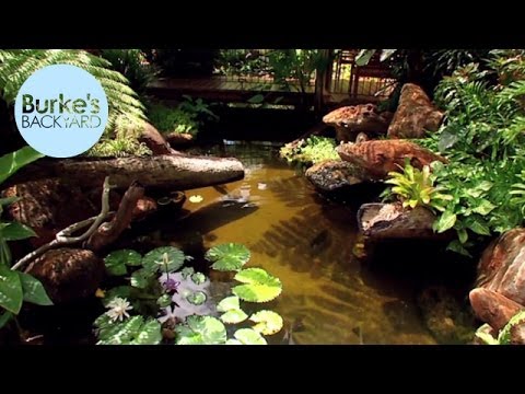 Burke's Backyard, Water Garden In The Tropics