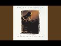 Acoustic Traveler (Remix)