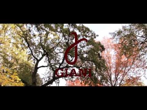 GIANI NYC - The Rise & Fall [Promo Video]
