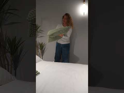 נוצ'ה