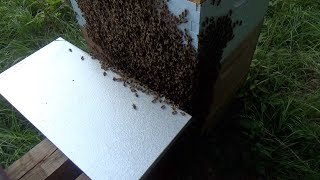 Why does this always seem to happen to me, especially when I'm in a hurry?