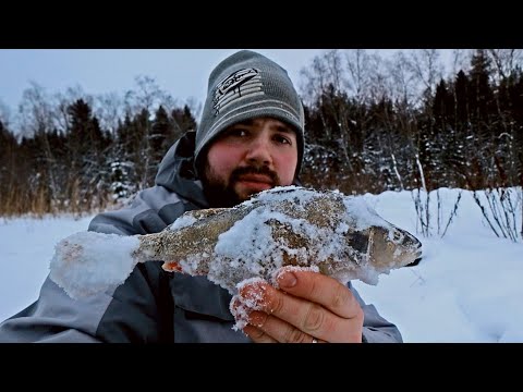POHJAPADOLLA OULUSSA JA PYHÄKOSKEN PADOLLA MUHOKSELLA - MILLOIN SAADAAN KUNNON KALATIET PATOIHIN?