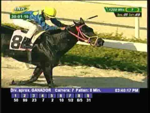 Resumen Sábado, 30 de Enero de 2016 - La Rinconada