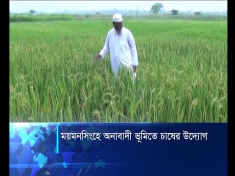 ময়মনসিংহে অনাবাদী ভূমিতে চাষের উদ্যোগ