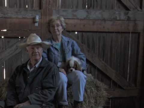 Historical Timeline - 2002