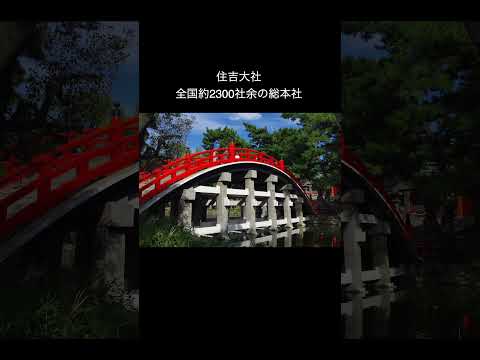 メディア映像学科 Osaka tram（チンチン電車） #japan