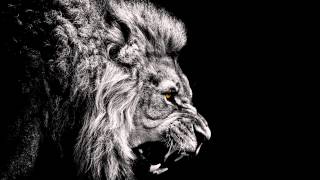 Solo 45, Preditah (Boy Better Know) -  Feed 'em to the Lions