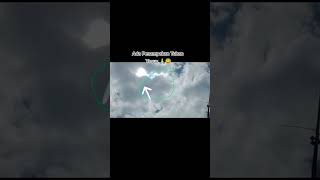 Download lagu penampakan tuhan yesus di kupang mp3