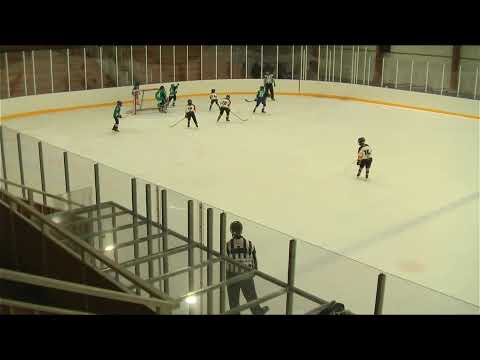 U12 186 White Sharks HC - Zempléni Hiúzok 20201220