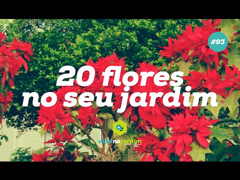 , title : '20 FLORES para TER no SEU JARDIM'
