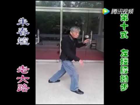 Thầy Chu Xuân Huyên - thao quyền (Old Yang Taiji Master Zhu Chun Xuan)