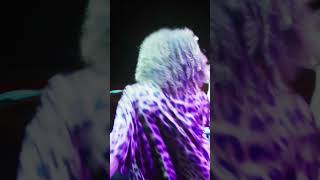 Download lagu Suara Festival 2024 - Sunday 28 July Recap (Day 3) #FollowYourVoice mp3