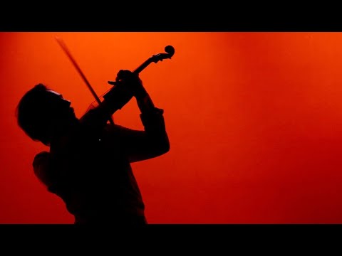 DELIRIUM MUSICUM and 2 more