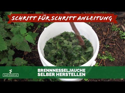 Brennnesseljauche selber herstellen - Brennnesseljauche richtig ansetzen einfach erklärt!