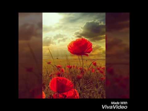 Himani Birthday special