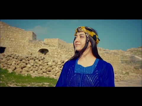 Hozan Şerwan - Ne Şeva Min Şeve (Min Dile Xwe Da Te)