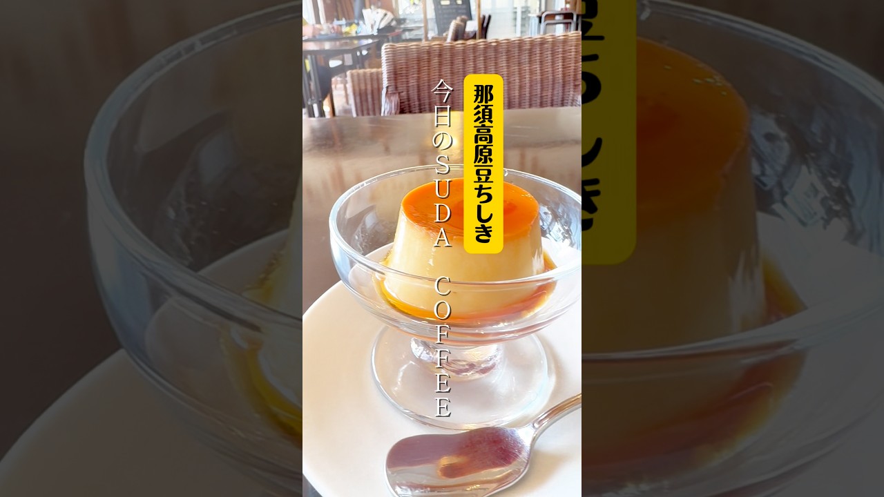 【那須高原マメ知識】SUDA COFFEEで玉子サンド食わにゃ始まらんで… #栃木グルメ　#那須モーニング #栃木カフェ #那須グルメ #那須カフェ #shorts