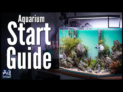 Schritt für Schritt durch die Einfahrphase | AquaOwner