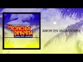 Amor en Vacaciones - La Sonora Dinamita [Audio]