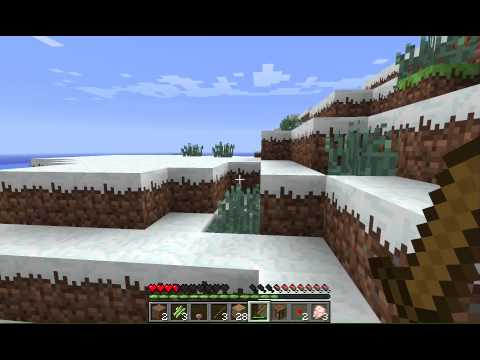 Neebah Plays Minecraft
