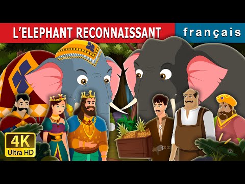 L’ELEPHANT RECONNAISSANT | The Grateful Elephant Story | Contes De Fées Français