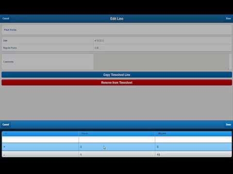 Deltek Touch Time And Expense