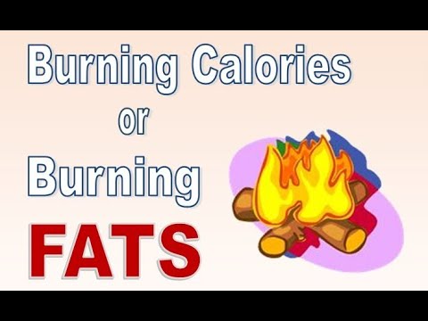Burning Calories or Burning FATS